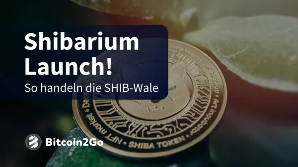 Shibarium Launch: Das Shiba-Inu Ökosystem floriert